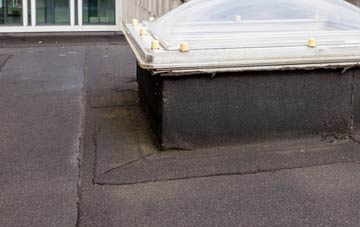 disadvantages of Port Henderson flat roofs