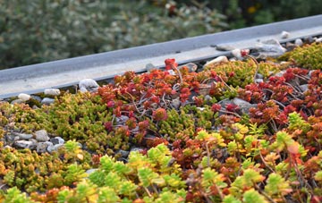 the cost of Port Henderson green roof installation