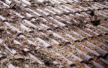 Port Henderson roof cleaning companies