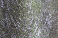 Port Henderson fibreglass roof work